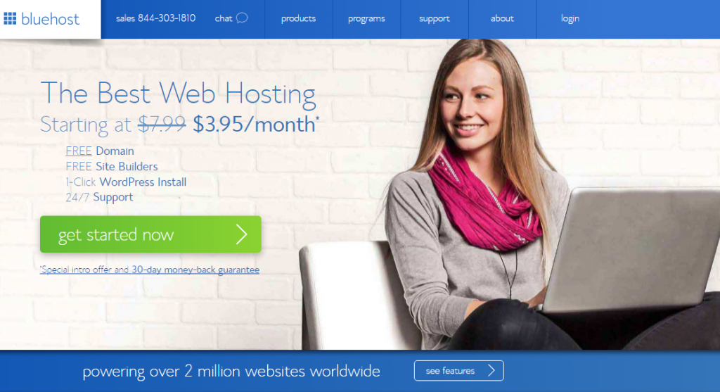 bluehost web hosting