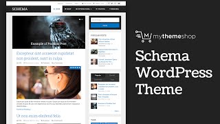 schema theme review