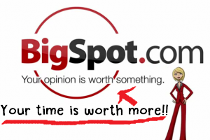 what is bigspot review