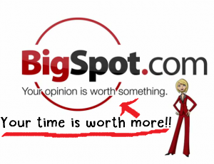 what is bigspot review