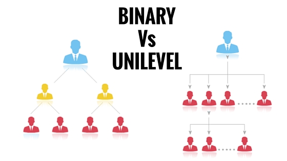 the MLM binary leg model