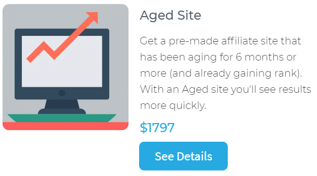 buy an aged site