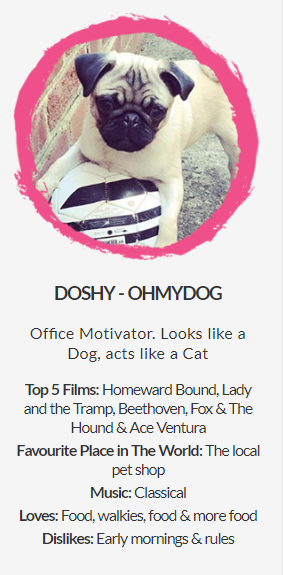 doshy the dog