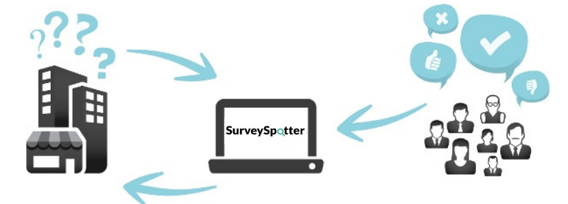 survey spotter review