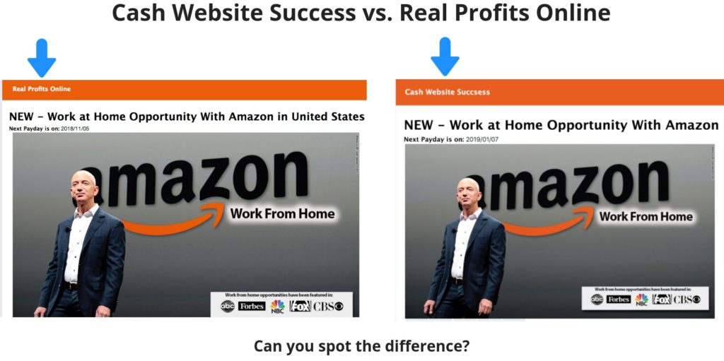 cash website success versus real profits online scams