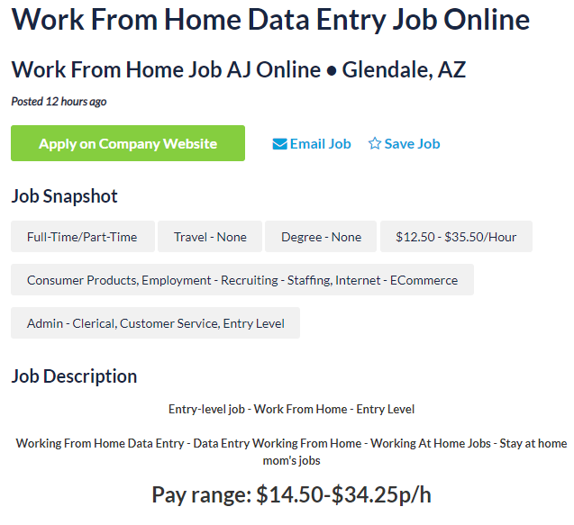 american online jobs review