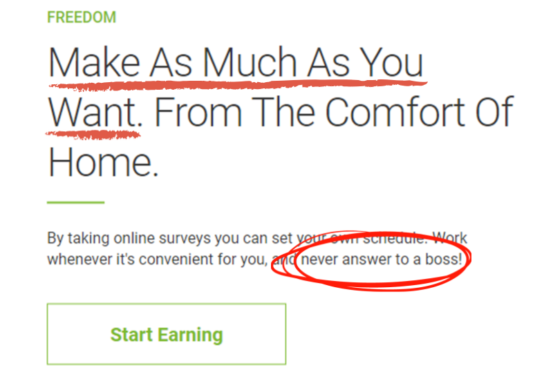 make money with survey freedom