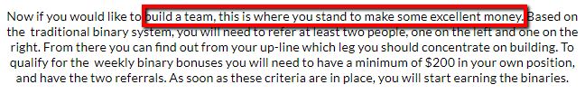 Mirror Trading International Ponzi Scheme