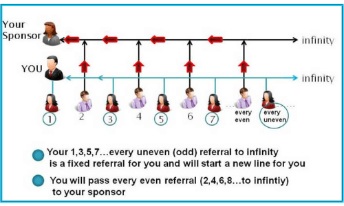 All In One Profits Compensation Matrix