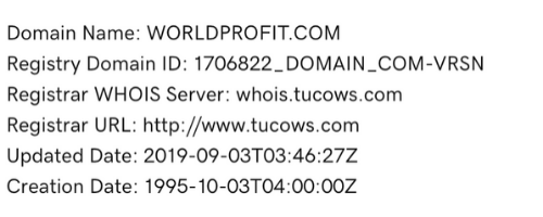 WorldProfit Domain Details