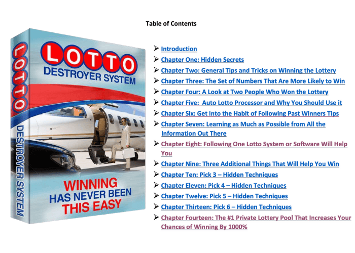 Lotto Destroyer eBook