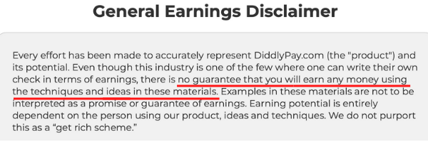 DiddlyPay Income Disclaimer