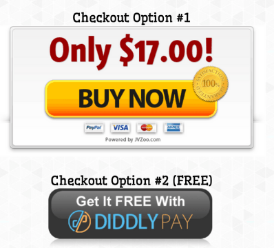 DiddlyPay Payment Options