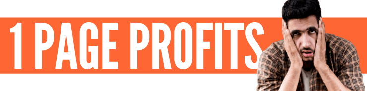 1 Page Profits Review