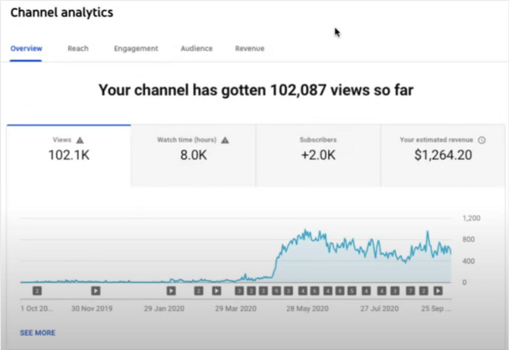 Simple Traffic Blueprint Student YouTube Stats